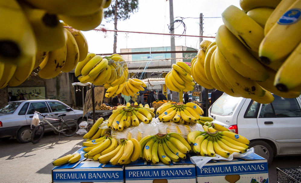 ۴/۲ هزار میلیارد تومان ارزش موز وارداتی در ۱۱ماهه سال ۹۷ / پدر داماد رئیس‌جمهور بزرگترین واردکننده موز است