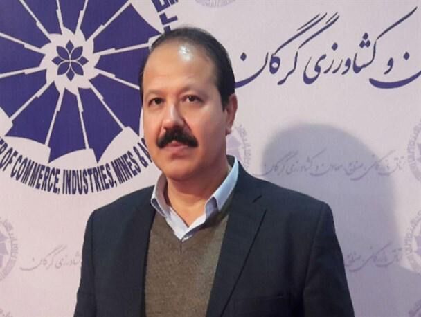 سیل کشاورزی استان گلستان را به طور کامل از بین برده/ شهرکهای صنعتی آق قلا دچار آب گرفتگی شدند/ سیل گلستان میزان تولید گندم در کشور را تحت تاثیر قرار می‌دهد