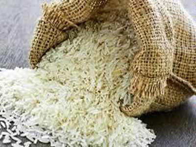 لغوممنوعیت برنج درزمان کشت برنج، میدان دادن به واردت است
