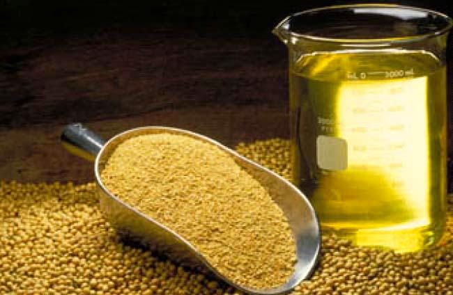 قیمت کنجاله سویا  ۵۷ و ذرت ۴۰ درصد گران شد