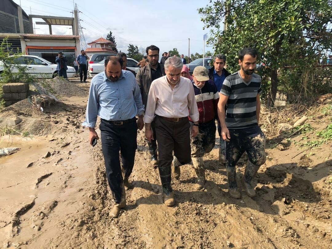 خسارت موسسات مالی غیرمجاز به دولت ازمرز  ۳۶ هزار میلیارد تومان  گذشت