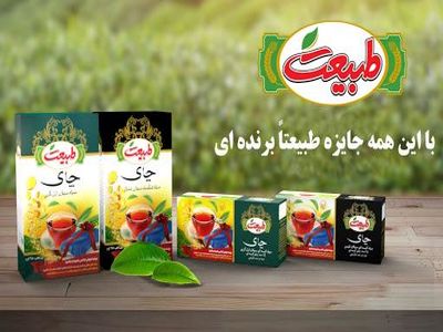 شرکت طبیعت سبز میهن طی یکسال اخیر ۶۷۰ میلیون دلار ارز ۴۲۰۰  تومانی گرفته است/ نام شرکت "طبیعت" در لیست متخلفان ارزی بانک مرکزی دیده می‌شود!