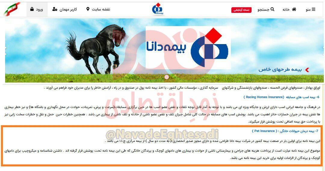 طرح انحصاری بیمه درمان حیوانات خانگی توسط بیمه دانا !