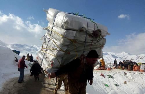 امکان ثبت سفارش واردات کالا توسط کولهبران فراهم شد