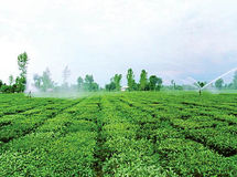 بیش از ۱۱ هزار میلیارد ریال به کشاورزان سیل زده پرداخت شد