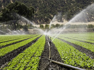 تجهیز ۱۸۲ هزار هکتار به سیستم نوین آبیاری