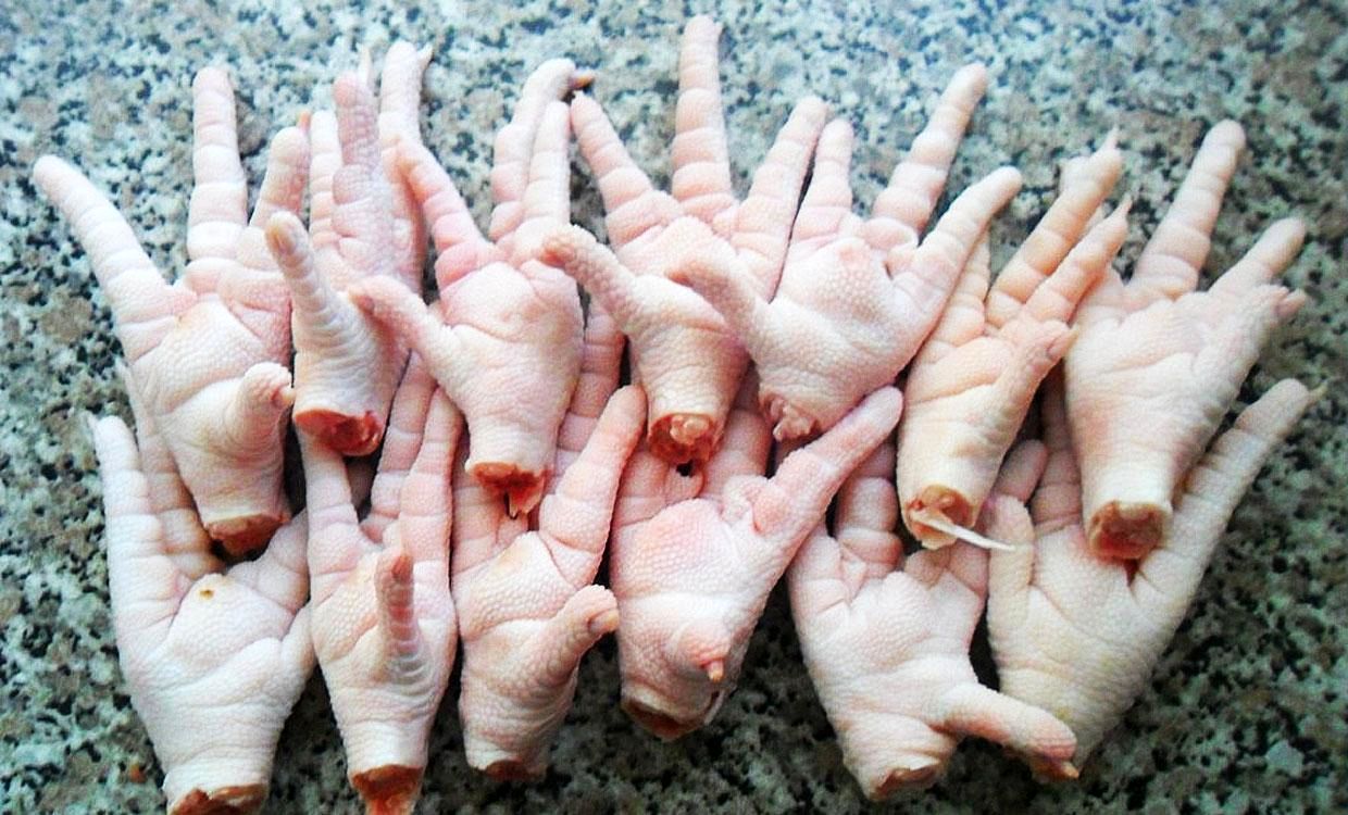 ایران درصدد صادرات پای مرغ به چین