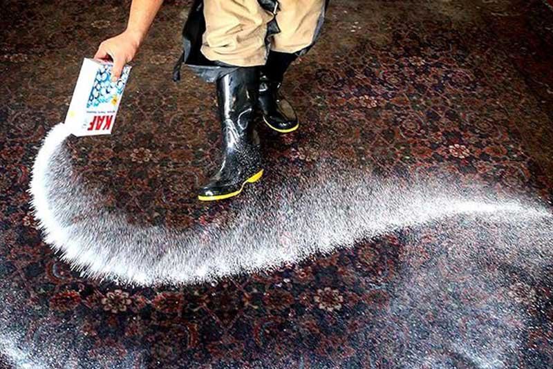 قیمت مصوب شست و شوی فرش و موکت در قالیشویی/ افزایش قیمتی برای شب عید نداریم