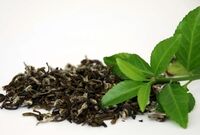 چای باعث انتقال ویروس کرونا نمی‌شود