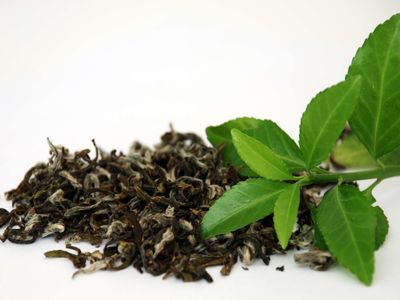 تولید چای ایرانی ۲۵ درصد کمتر از ظرفیت واقعی/ واردات چای خارجی ۲/۶ برابر تولید داخلی است