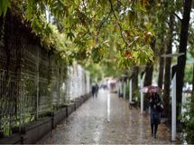 پیش بینی وضع هوا در پنج شنبه 21 فروردین/ تداوم بارش برف و باران در ۲۹ استان