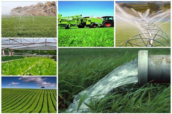 راندمان آب مصرفی بخش کشاورزی ایران حدود ۴۴ درصد است