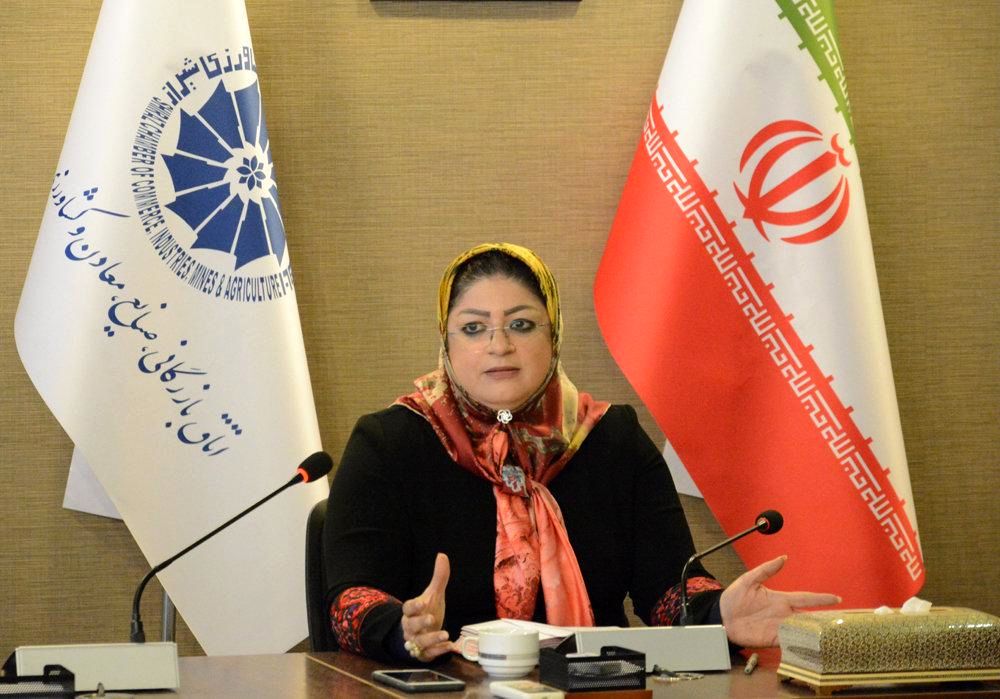 دولت سرگرم مهار کروناست و کاری برای اقتصاد نکرده است