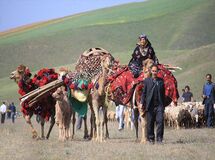 اتمام ۴۲۰ پروژه آبرسانی به عشایر تا تیرماه امسال