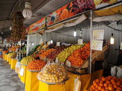 قیمت میوه در میدان مرکزی میوه و تره بار سر به فلک کشید+جدول