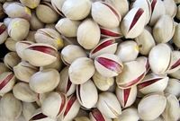 صادرات پسته ۵۰ درصد کاهش یافت/ مدت زمان تحویل پسته به مشتریان خارجی تا دو ماه افزایش یافته است