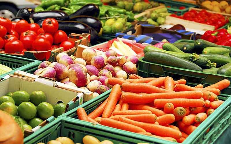 برای حل مشکلات باغداران ؛ الگوی کشت باید علمی شود 