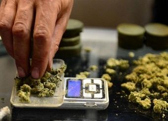 افزایش ۵۰ درصدی قیمت مواد مخدر