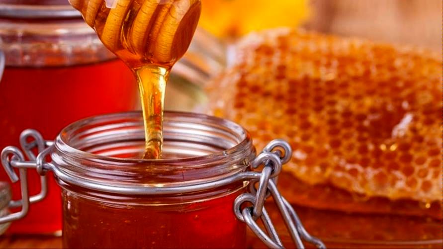 صادرات عسل به صفر رسید/ سیاست گذاری‌های وزارت صمت در خدمت واردات است