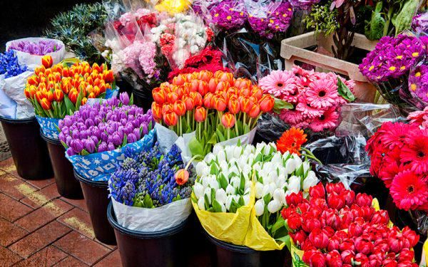 تقاضا برای خرید گُل در بازار به ۱۰ درصد هم نمیرسد