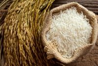 برنج پاکستانی، صدرنشین افزایش قیمت در اردیبهشت
