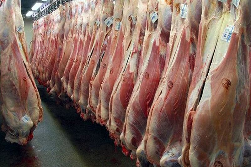 دلالان گوشت قرمز را ۲۰ تا ۲۵ درصد بالاتر از قیمت واقعی به بازار عرضه میکنند/احتمال ورشکستگی دامداران زیاد است