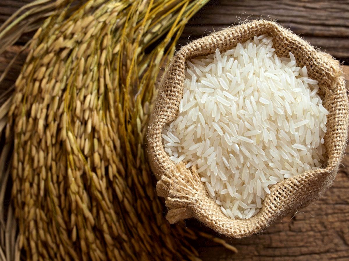 سه برابر شدن قیمت برنج جفا به مصرفکنندگان است/ سازمانهای نظارتی در خوابی هستند که با صد پتک بیدار نمیشوند
