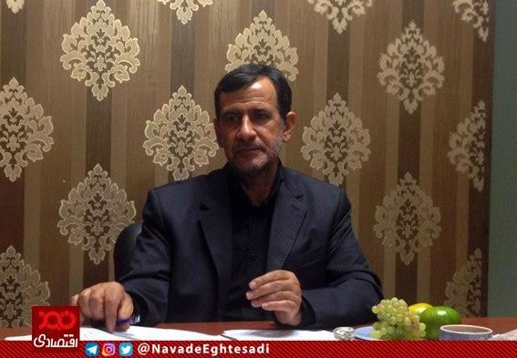 توقف صادارت تخم مرغ پیام منفی به تولیدکنندگان است
