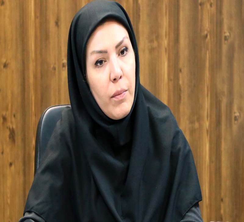 تجهیز منابع مالی جدید برای تکمیل طرحهای صادراتی به پشتوانه صندوق ضمانت صادرات ایران