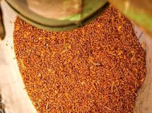  کاهش ۳۱ درصدی واردات نهاده‌های دامی در ۴ ماهه اول سال