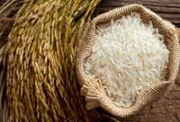 ۳۰۰ هزار تن برنج در صف تخصیص ارز قرار دارد/ ممنوعیت ترخیص از اول شهریور