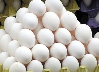 مرغداران روی فروش هر کیلو تخم مرغ ۵ هزار تومان ضرر می‌کنند