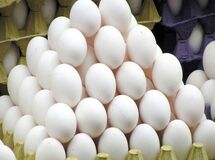 مرغداران روی فروش هر کیلو تخم مرغ ۵ هزار تومان ضرر می‌کنند