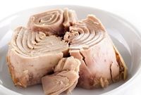 تعطیلی بیش از ۱۰۰ کارخانه تن ماهی به دلیل عدم تخصیص ارز