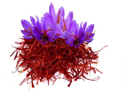 خام فروشی زعفران هنر نیست