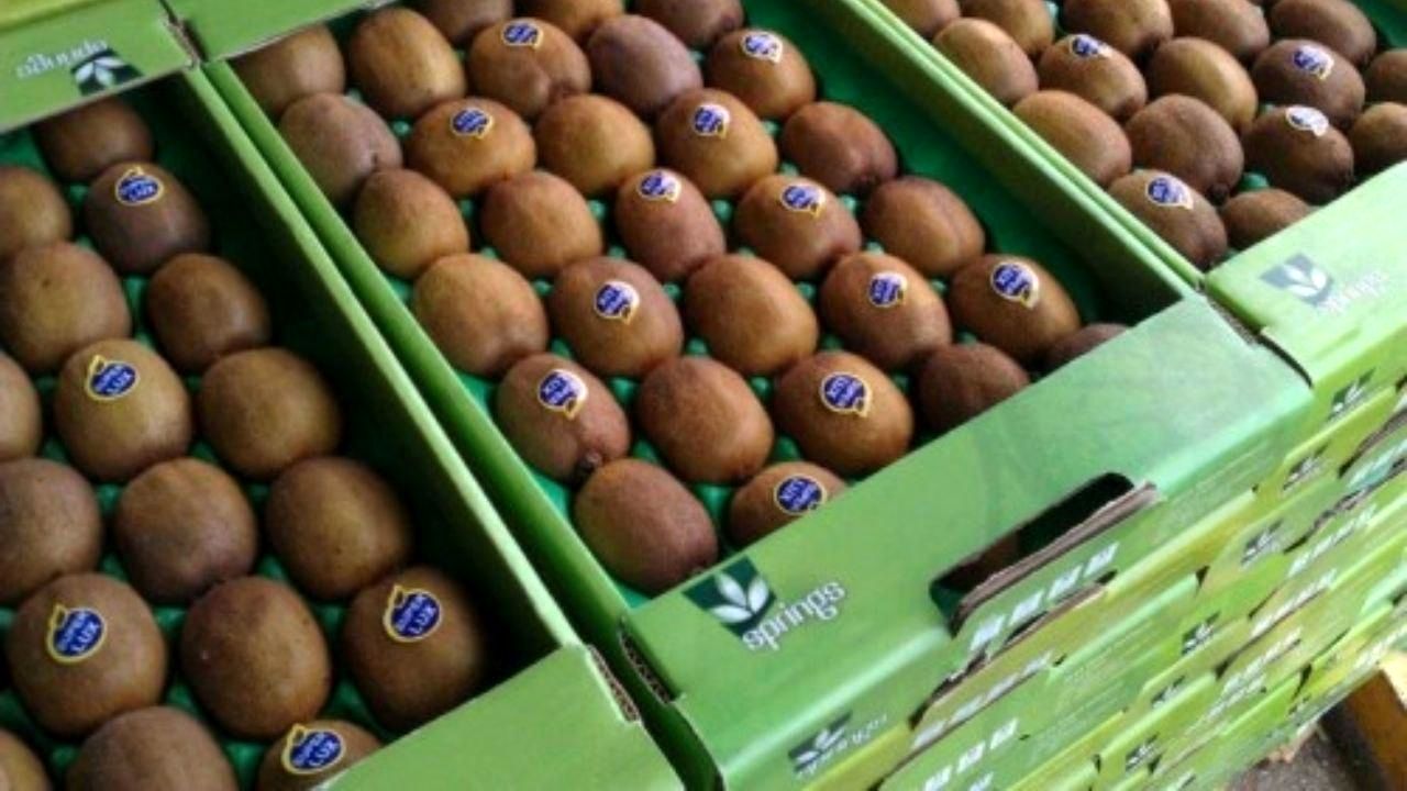 صادرات کیوی تا ۱۵ مهر ماه ممنوع است