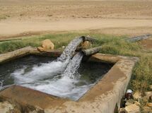 ایران نزدیک به ۹۰۰ هزار حلقه چاه آب دارد/۴۲ درصد چاه‌ها غیرمجازند