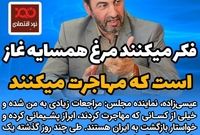 فکر می‌کنند همسایه غاز است که مهاجرت می‌کنند
