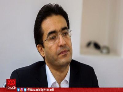 ترخیص کالاهای اساسی در انتظار تایید بانک مرکزی است/ ما فقط یک سازمان مجری هستیم و اختیاری نداریم