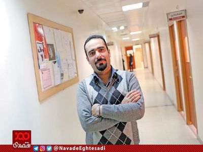 سرمایه گذاری در بازار ارز واکنش طبیعی به یک اقتصاد ناامن است