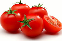 گوجه صادراتی به عراق اگر برگشت نمی‌خورد جای تعجب داشت