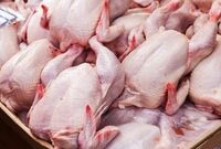 مرغ با قیمت مناسب را از کجا تهیه کنیم؟