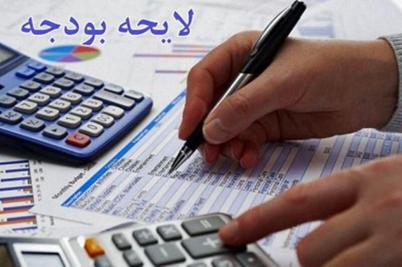 بودجه برخی شرکت‌های دولتی بین ۲۰۰۰ تا ۶۰۰۰ برابر بودجه نهادهای عمومی است