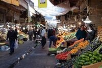 قیمت انواع میوه در بازار امروز صبح (۹۹/۱۱/۰۱)+جدول
