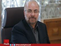 مرغ باید کیلویی ۱۰ هزار تومان باشد/ ما نادان و ناشی به اقتصاد نیستیم