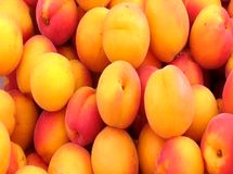 قیمت زرد آلوی نوبرانه به 15 هزار تومان رسید/ طالبی 3500 تومان شد