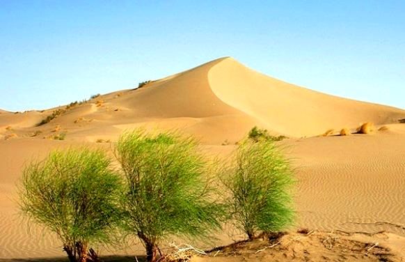 بیابان زایی،آفتی که حیات زراعت و کشاورزی را تهدید میکند/اقتصاد روستایی به کدام سو خواهد رفت ؟