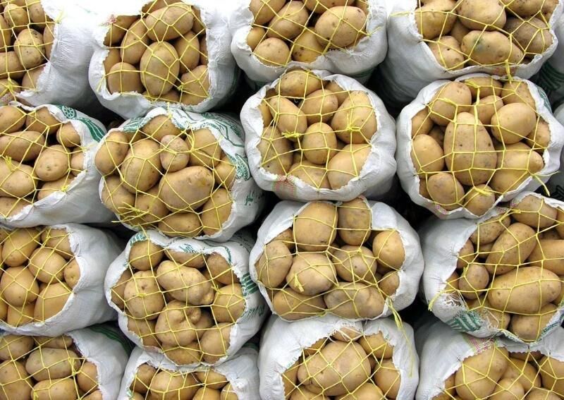 صادرات سیب‌زمینی کمتر اما گران‌تر شد/ قیمت داخلی ۲۰۰ درصد گران‌تر از صادراتی