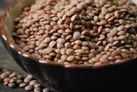 عقب افتادگی 14 هزار تنی تولید عدس از برنامه اقتصاد مقاومتی/ تولید حبوبات 7 درصد افزایش یافت