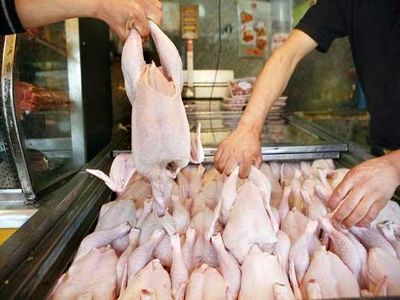 احتمال کاهش 200 تومانی قیمت مرغ در روزهای آینده/ قیمت مرغ به 7500 تومان رسید